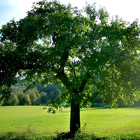 Gestion de l'environnement